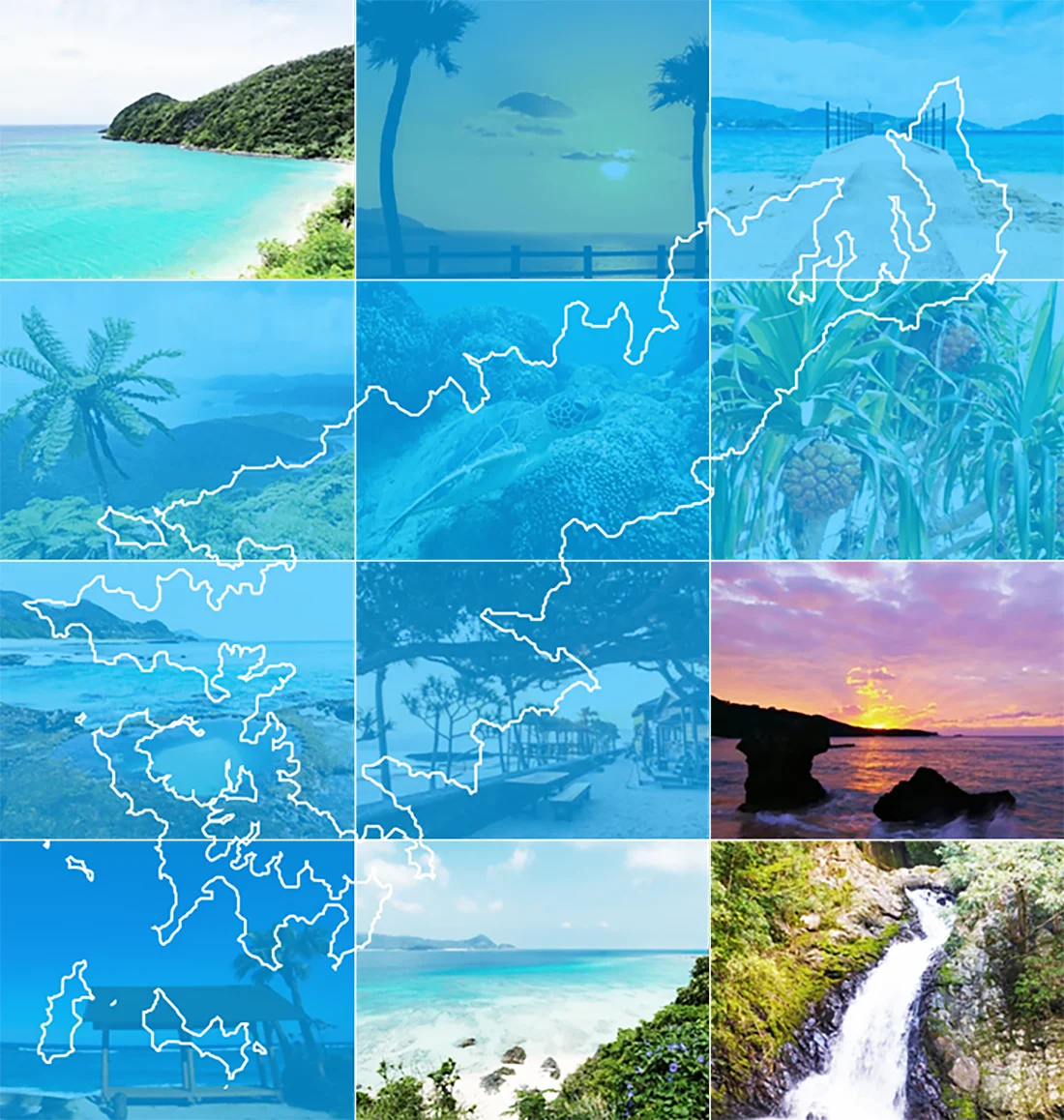 世界自然遺産 奄美大島
